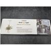 Image 3 : Lordem Grow Light for Indoor Plants with Adjustable Height