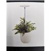 Image 2 : Lordem Grow Light for Indoor Plants with Adjustable Height
