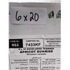 Image 3 : Ahmad Tea Apricot Sunrise Black Tea (6 x 20) Bags