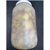 Image 2 : Supreme Hamburger Sliced Dill Pickles 3.78L