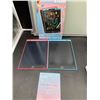 Image 2 : Kyebo LCD Writing Tablet Set With Two Tablets in Pink and Blue