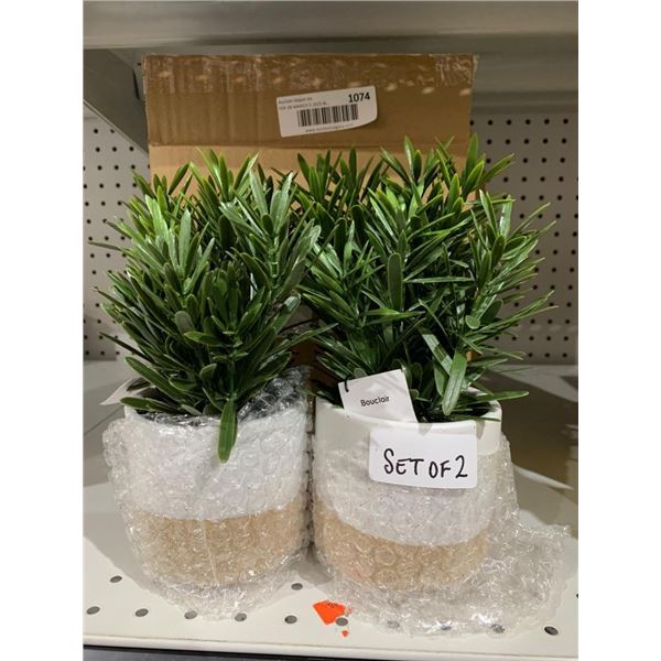 Bouclair Set of 2 Artificial Succulent Plants
