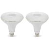 Image 1 : Amazon Basics PAR38 LED Light Bulb, Daylight, 2-Pack, Non-Dimmable