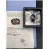 Image 1 : 39.00 CARAT INTENSE DEEP BROWN NATURAL SMOKY QUARTZ IN OVAL SHAPE 26.52 X 17.56 X 14.62 mm RETAIL VA