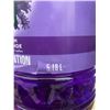 Image 3 : Pine-Sol Lavender Clean Multi-Surface Cleaner, 5.18 L