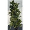 Image 1 : Pre Lit Christmas Tree