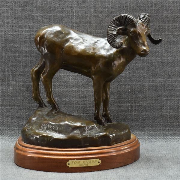 NEW MEXICAN BRONZE (TOM KNAPP)