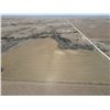 Image 13 : 157 Acres of Hunting Land with pond and shop/apartment
