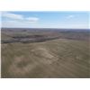 Image 4 : 312 Acres of Barber Co Hunting Land and Dryland