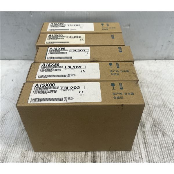 (5) Mitsubishi #A1SX80 Modules