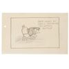 Image 8 : A Collection of Storyboard Panels from “Wise Quacks.”