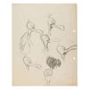 Image 4 : A Pair of ”Beaky Buzzard” Development Drawings.