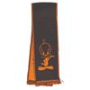 Image 2 : A Sylvester and Tweety Scarf.