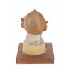 Image 4 : A Capt. Huffenpuff Puppet Head Master Sculpt.