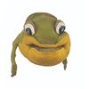 Image 2 : A Frog Puppet From “Time for Beany.”