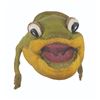 Image 3 : A Frog Puppet From “Time for Beany.”
