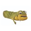 Image 6 : A Frog Puppet From “Time for Beany.”