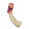 Image 17 : A "Time for Beany" Horse Puppet.