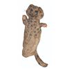 Image 1 : A “Time for Beany” Spotted Cat Puppet.