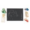 Image 3 : A 3-D Mosaics Kit of Cecil by Hallman Products.