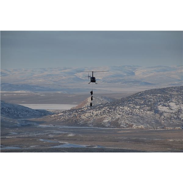 Research Field Trip - Adult Captures