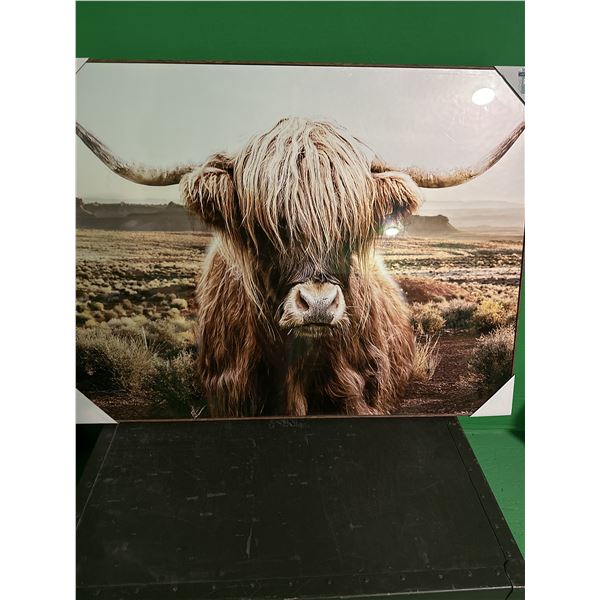 Highland Cow Framed Photo