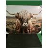 Image 1 : Highland Cow Framed Photo
