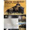 Image 1 : BISON HARVEST IN LARAMIE WYOMING