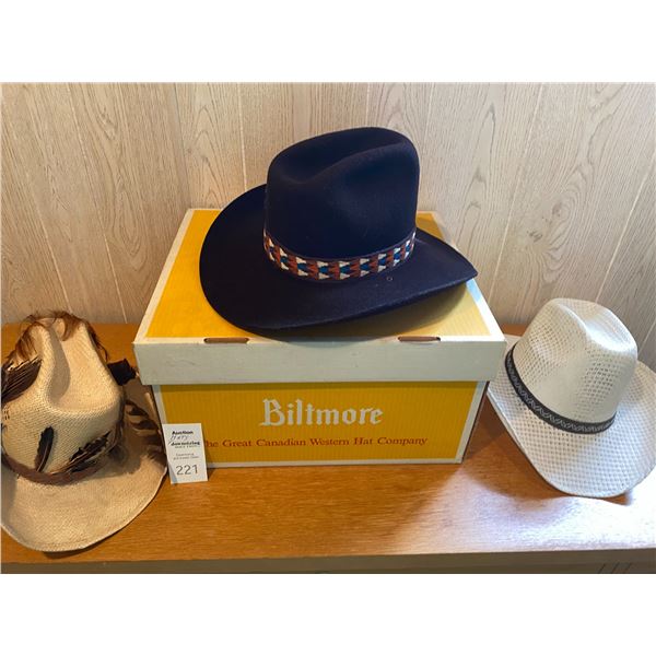 Biltmore Cowboy Hat A