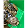 Image 10 : belt buckles, vintage badges A