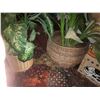 Image 5 : Faux Plants A