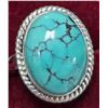 Image 1 : BZ2074-127D SILVER TURQUOISE 11.7CT 5.7G RING