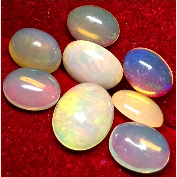 BZ2074-150D OPAL 8CT