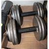 Image 1 : 2 OF 30 POUND IRON DUMBELLS