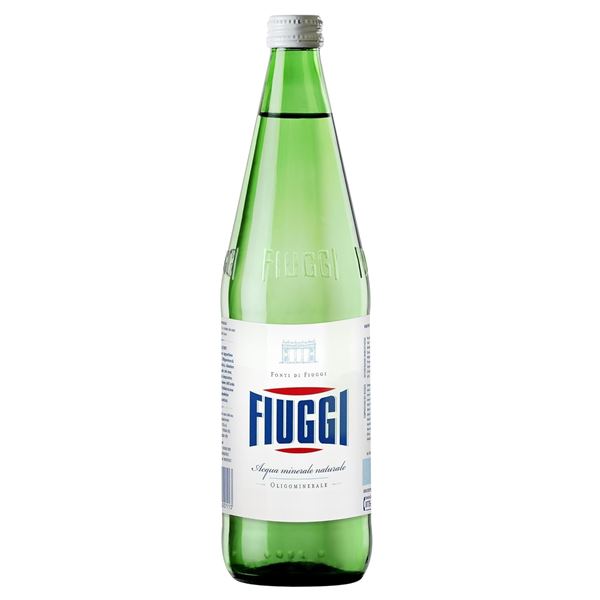 NEW 6 X 16.9 OZ FIUGGI MINERAL WATER