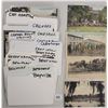 Image 2 : Sorted Long Island, New York Postcards Approx. 240