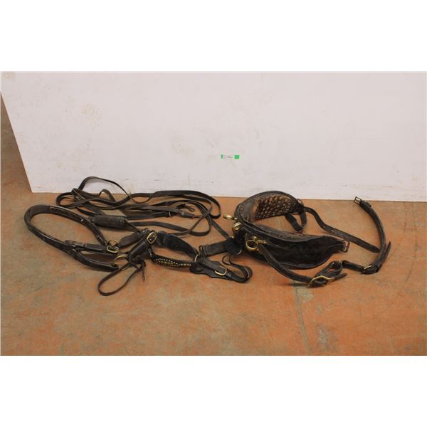 Single Harness and Driving Lines