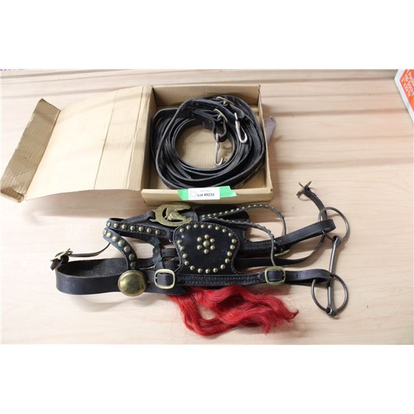 Driving Bridle and Lines