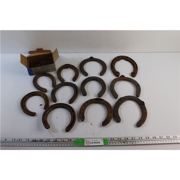 (11) Horseshoes and Horseshoe Nails
