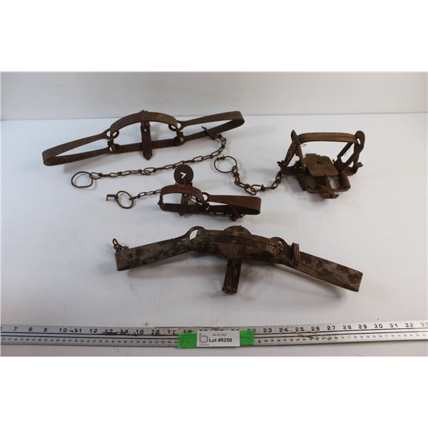 (4) Animal Traps