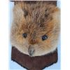 Image 2 : Beaver Fur Purse/Pouch