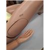 Image 6 : * Female Medical Dummy - CANNOT SHIP