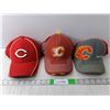 Image 1 : (3) Sports Ball Caps