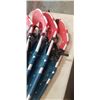 Image 3 : 2 PAIRS OF SNOWSHOES
