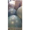 Image 1 : 3 EXCERCISE BALLS