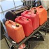 Image 1 : 5 JERRY CANS