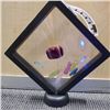 Image 1 : AGATE STONE COLLECTION IN DISPLAY