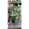 Image 2 : 2 LANTERNS AND 2 SMALL ARTIFICIAL PLANTS