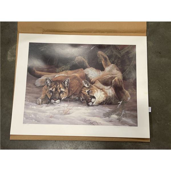 ARTIST PROOF LIMITED EDITION 7/50 INTERUPPTED PLAY