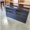 Image 1 : BLACK MODERN GLASS DOOR CABINET